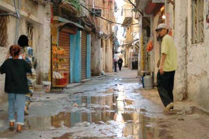 الشولي: قرار السلطات اللبنانية بعدم إدخال مواد البناء للمخيمات الفلسطينية يشكل كابوسا للاجئين