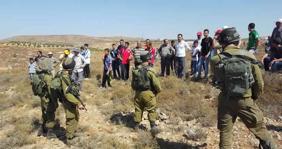 IOF bans plowing lands in al-Sawiya town, detains farmers & foreigners