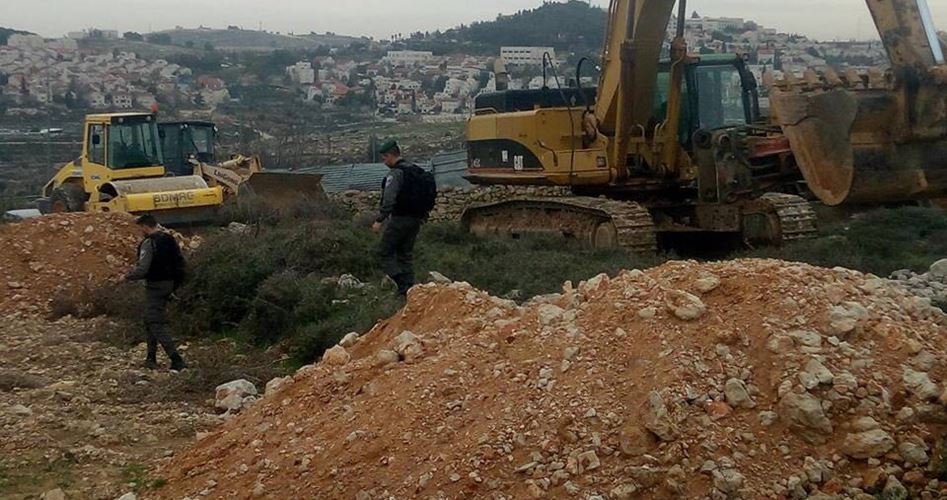 IOF destroys grape field in Halhul town