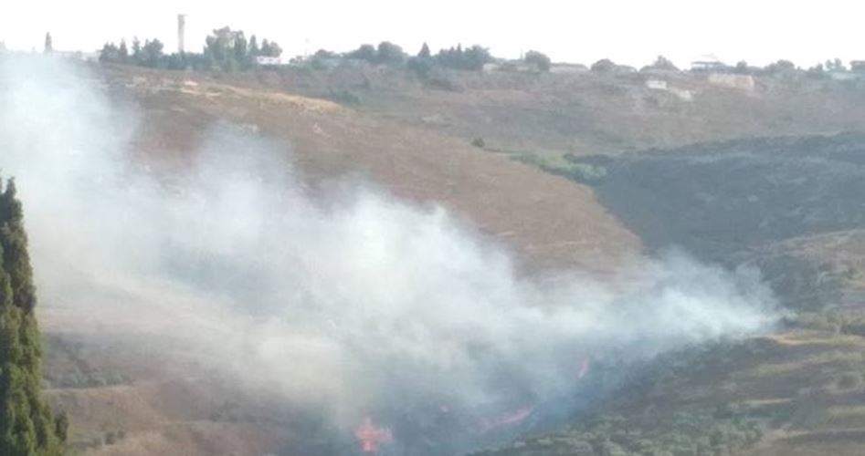 Israeli settlers burn hundreds of olive trees in Nablus