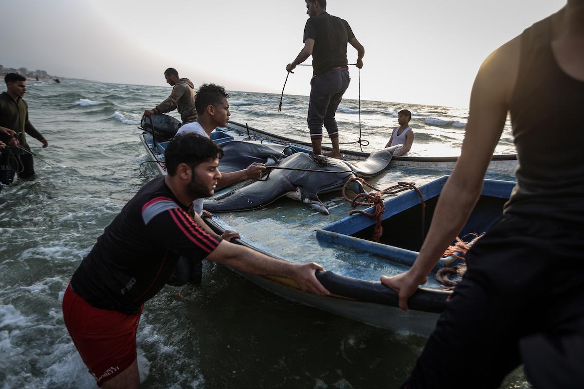 Israel naval forces ‘escalate’ attacks on Palestinian fishermen