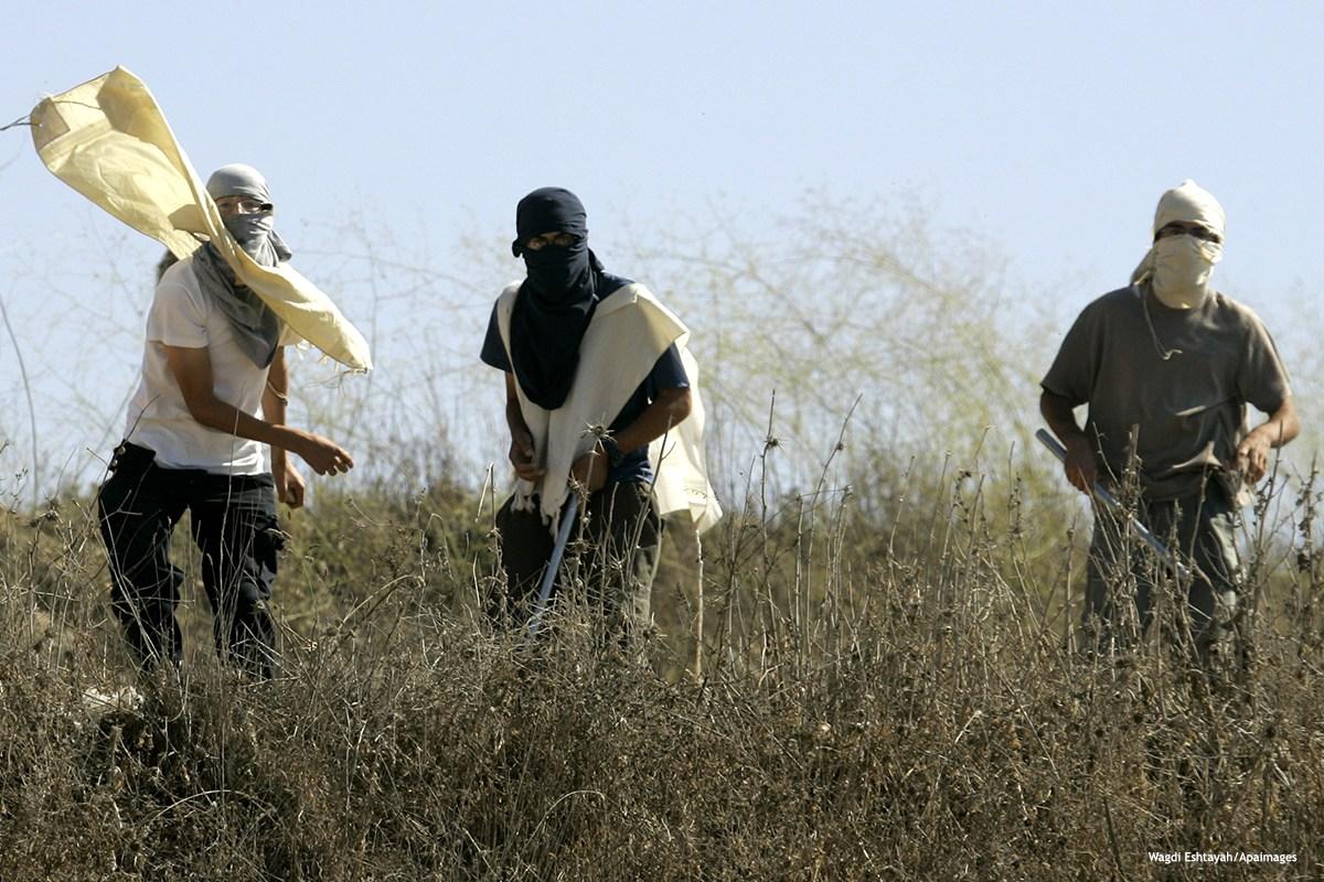 Zionist settlers assault elderly Palestinian man