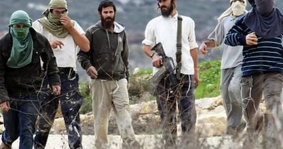 Zionist settlers storm Palestinian archaeological site in al-Khalil