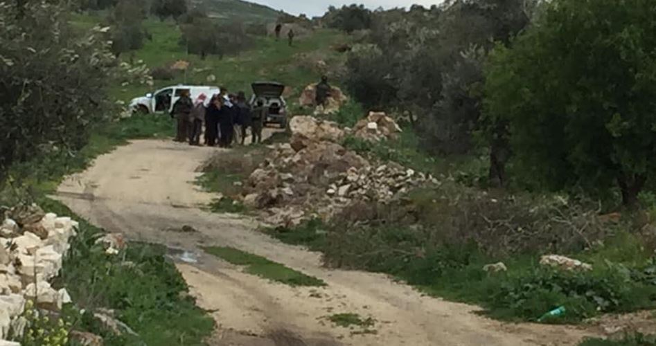 IOF expels Palestinian farmer from his olive grove in Nablus