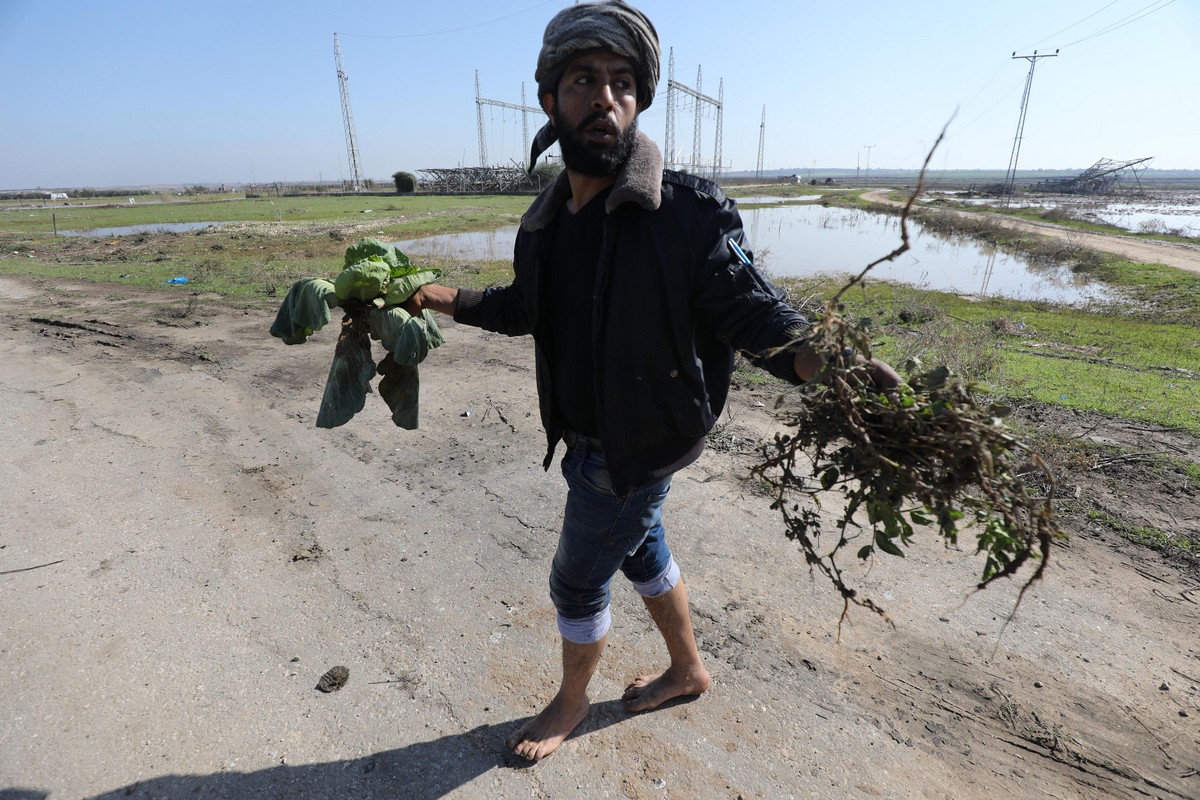 Gaza farmers: "Israel" destroyed all of our crops’