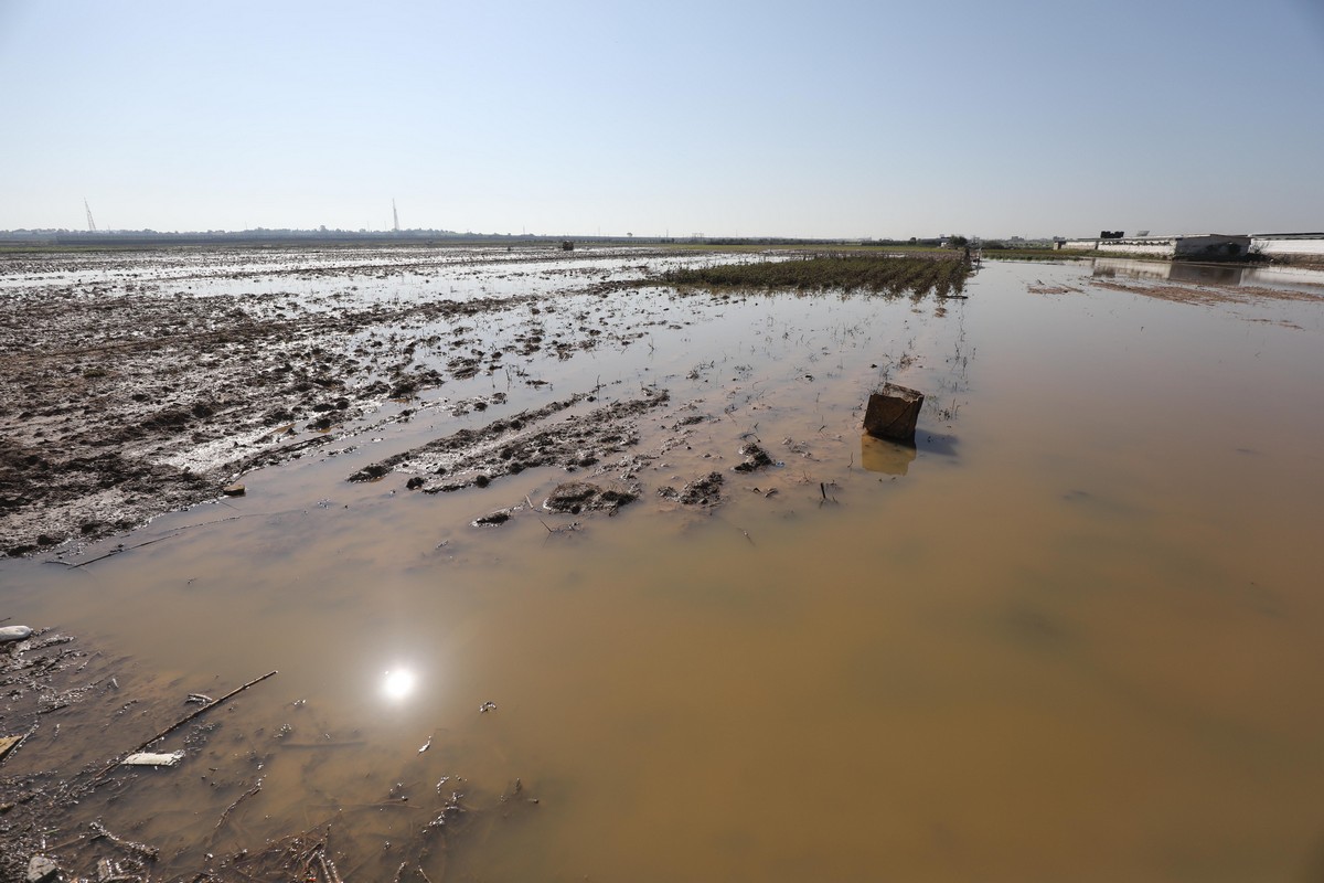 Occupying Israel continues to flood Gaza farmland