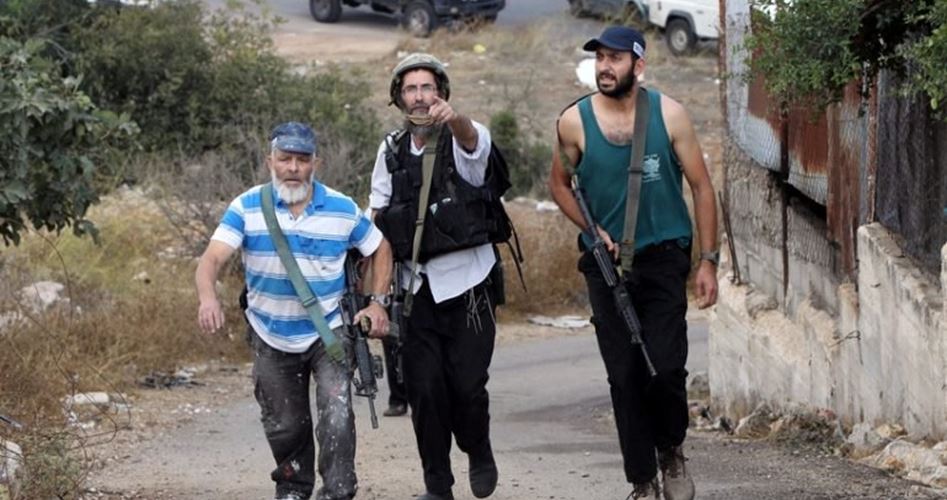 Israeli settlers seize Palestinian farmland in al-Khalil