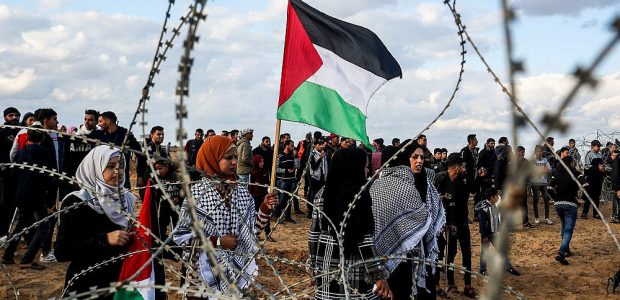 Land Day March 30: Global Virtual Day of Action for Gaza & Palestine in the time of Covid-19