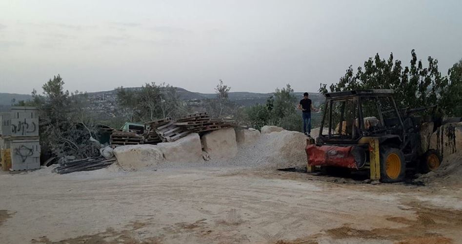 Israeli" settlers destroy 50 olive trees in Bethlehem"