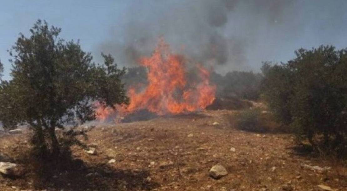 Settlers Set Hundreds of Dunums in West Bank on Fire