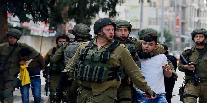 Occupation forces arrest seven Palestinians, among them a child in West Bank