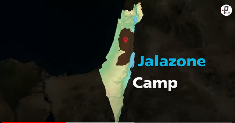 Camp Series | West Bank - Jalazoun camp