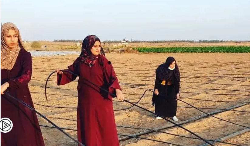 Women in Gaza determined to overcome economic, social challenges