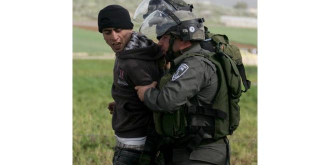 Israeli occupation forces arrest seven Palestinians in the West Bank