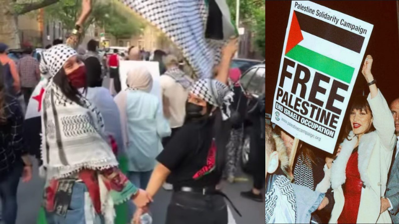 Israeli" government targets Bella Hadid as she joins pro-Palestine protesters in NYC"