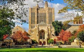 "Yale College Council adopts statement of condemnation against "Israel