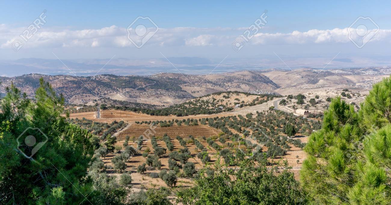 Under the pretext of nature reserve, "Israel" appropriates Palestinian land in occupied Jordan Valley