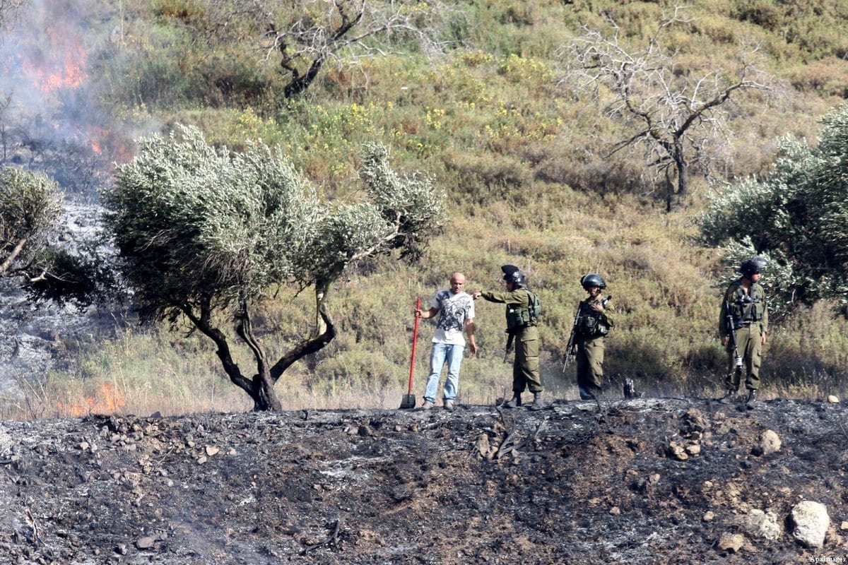 Settlers set fire to an olive field in Nablus