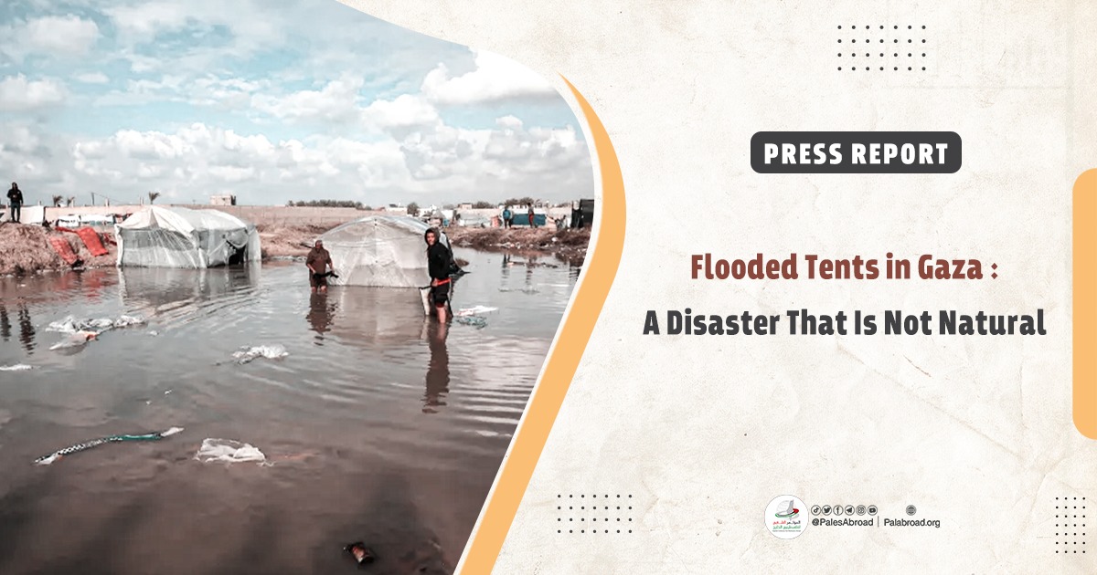 Flooded Tents in Gaza: A Disaster That Is Not Natural